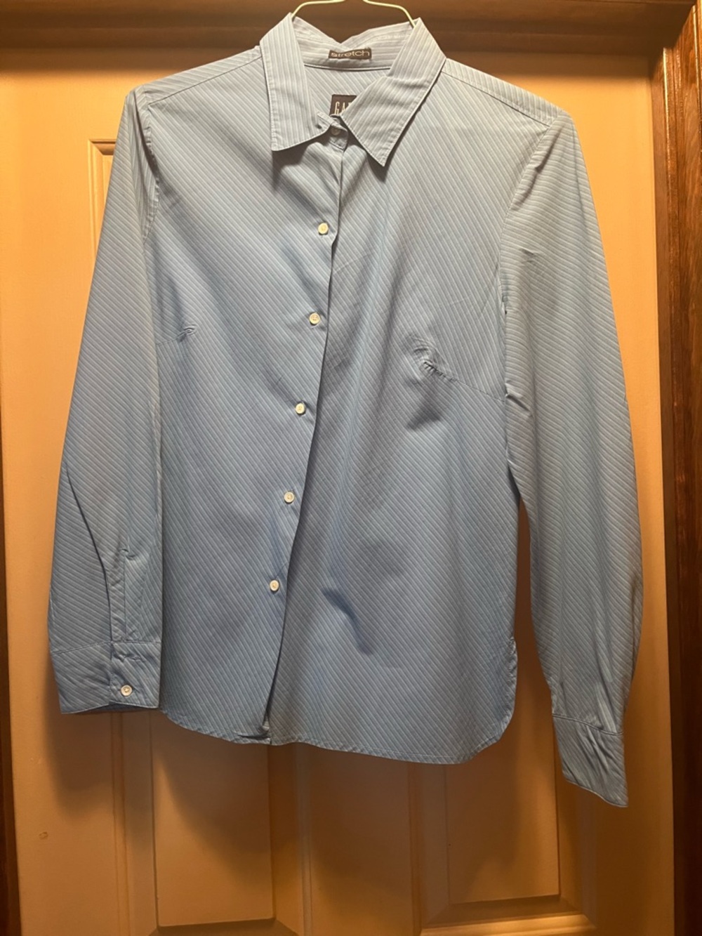 GAP Light Blue Pinstripe Men's Dress Shirt